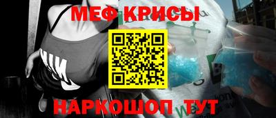 стаф Берёзовский