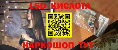 стаф Берёзовский