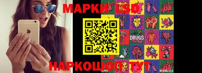 стаф Берёзовский
