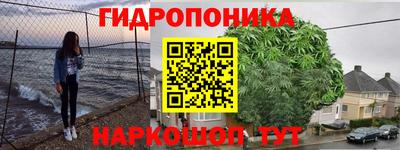 скорость Бийск