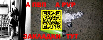 стаф Берёзовский