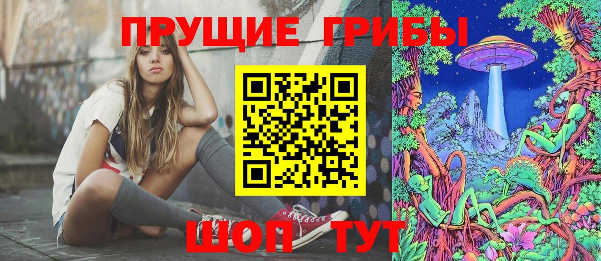 Псилоцибиновые грибы мицелий Ипатово